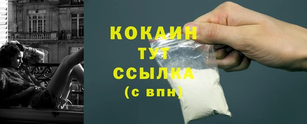 сатива Богородицк