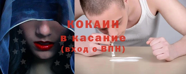 сатива Богородицк