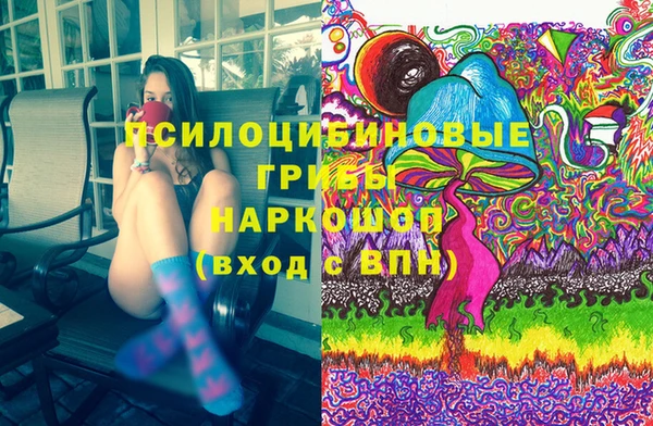 сатива Богородицк
