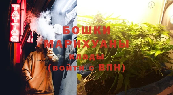 сатива Богородицк
