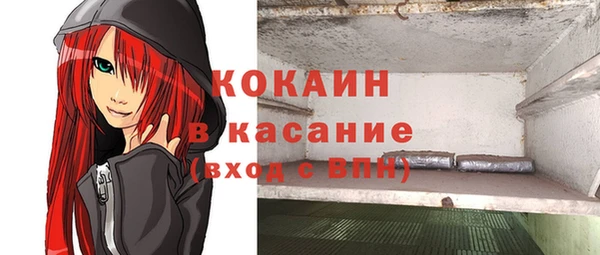 сатива Богородицк